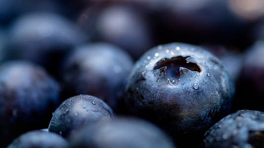 shallow focus of blueberries thumbnail