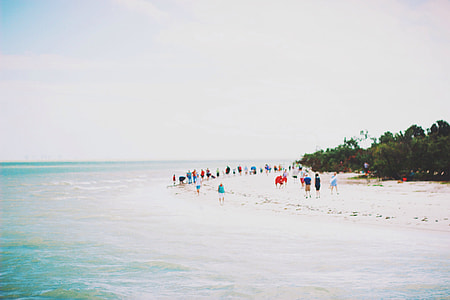 photo of people on beach during daytime thumbnail