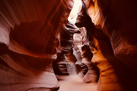 Canyon Antelope wallpaper thumbnail