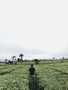 person wearing black t-shirt standing onfarm thumbnail