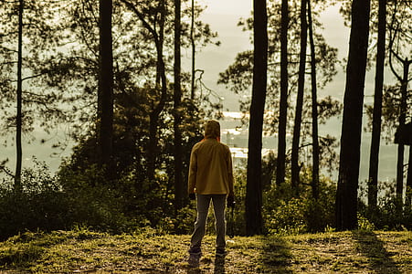 person standing in front of trees thumbnail