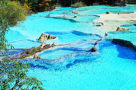 blue water near trees thumbnail