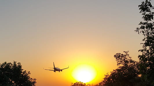 flight, dawn, sky, sunset thumbnail