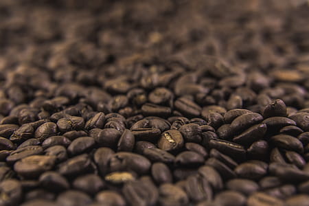 Coffee Beans Texture Photo thumbnail