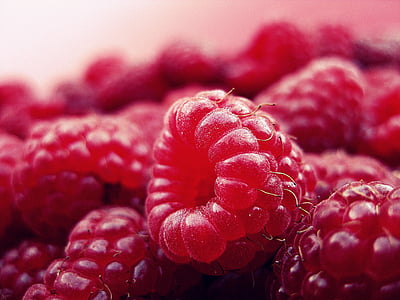 macro shot photography of red raspberry thumbnail