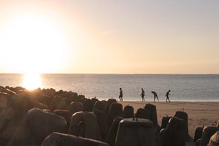 people standing on shoreline during sunset thumbnail
