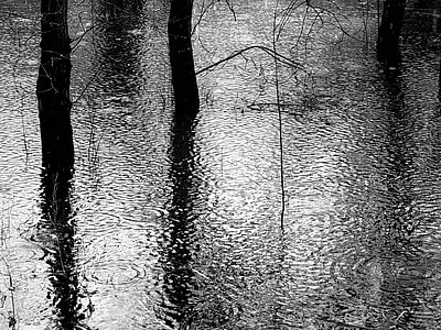 grayscale photography of body of water thumbnail