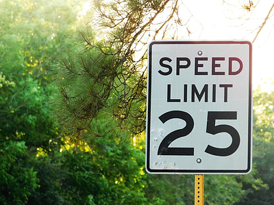 Speed Limit 25 road sign beside tree thumbnail