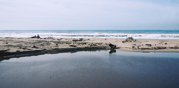 brown sandy beach at daytime thumbnail