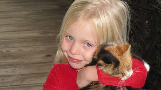 girl wearing red long-sleeved shirt holding calico cat thumbnail
