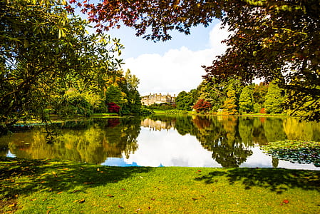 landscape photo of body of water surrounded with trees thumbnail