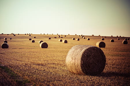 hay lot under blue sky thumbnail