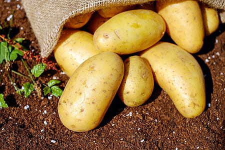 Potatoes thumbnail