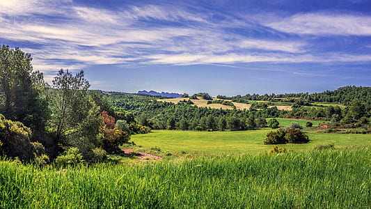 grass field during daytime thumbnail
