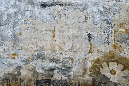 spot, stain, old wall, wallpaper thumbnail