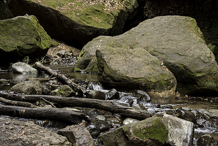 Logs, rocks, and creek at Parfrey's Glen, Wisconsin thumbnail