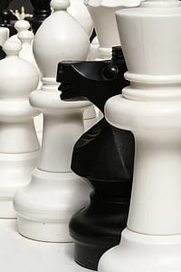 white and black chess pieces thumbnail