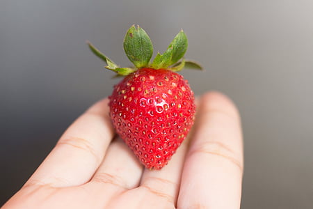 person holding strawberry thumbnail