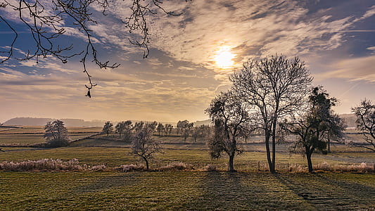 light, dawn, landscape, nature thumbnail