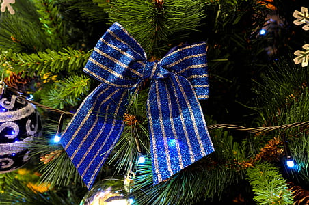 blue ribbon on Christmas tree thumbnail