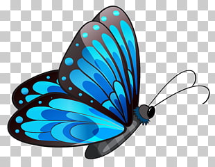Butterfly , Transparent Blue Butterfly , blue and black butterfly illustration PNG clipart
