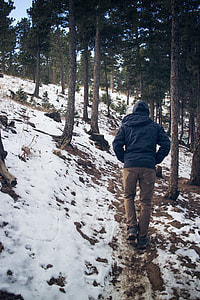 man walking on forest thumbnail