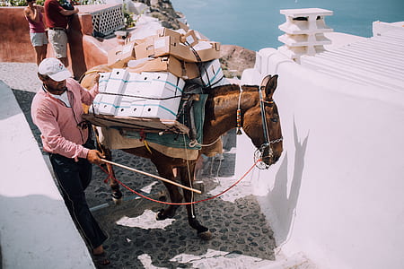 brown horse carrying boxes beside standing man on Santorini Greece thumbnail