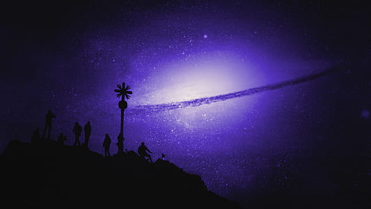 silhouette of people near tree during night time thumbnail