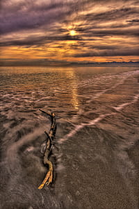 wood, light, sea, dawn thumbnail