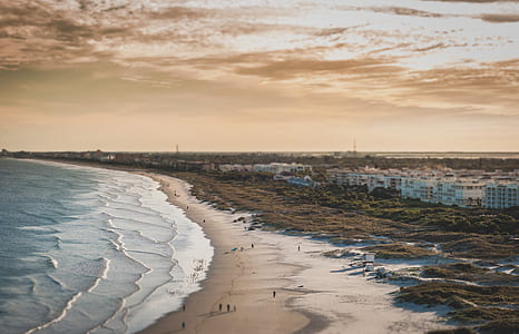 people on seashore with sea waves under brown sky at daytime thumbnail