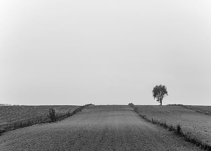 grayscale photo of road thumbnail