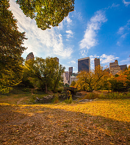 low-angle photography of high-rise buildings thumbnail