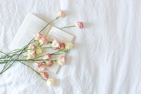 Bed With Book And Flowers Photo thumbnail