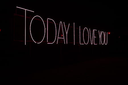 Toady I Love You neon light signage thumbnail