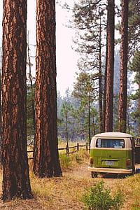 white and green Volkswagen Kombi parked under the trees during daytime thumbnail