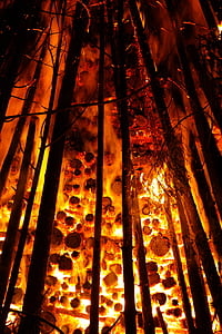 forest fire at night thumbnail