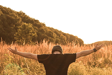 person raising two arms facing plants thumbnail