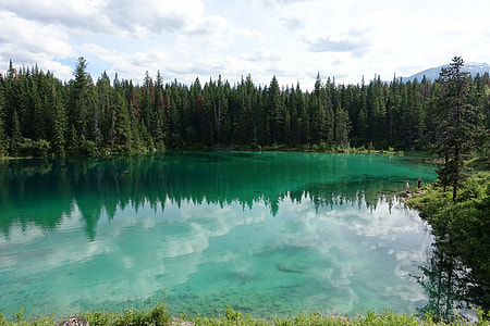 green leafed trees near body of water thumbnail