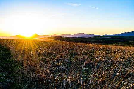 green grass field under sunny sky thumbnail