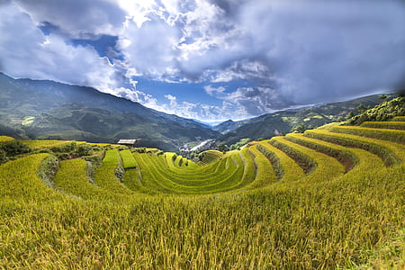 landscape photography of grass field during daytime thumbnail