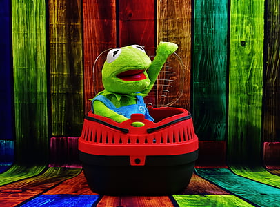 Kermit the Frog on bowl thumbnail