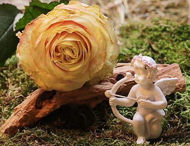cherub holding arrow statuette on green grass thumbnail