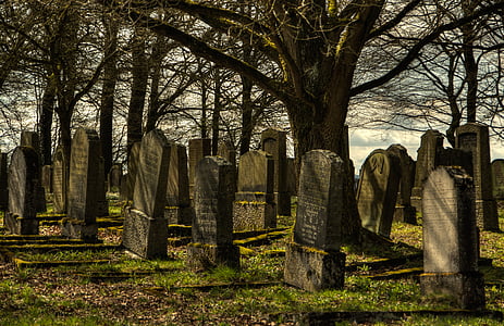 gray tomb stones under dead tree thumbnail