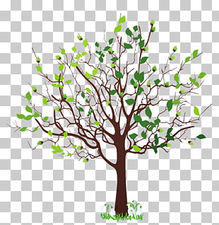Spring Tree , Spring Tree with Snowdrops , green leafed tree illustration PNG clipart