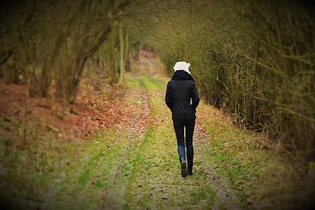 photo of person walking near forest thumbnail
