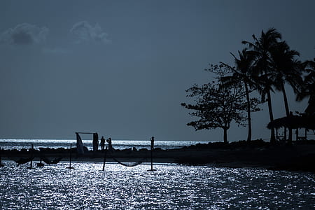 silhouette photography of two person on shoreline thumbnail
