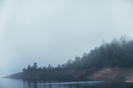 green trees near body of water under white sky thumbnail