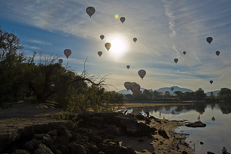 assorted-color hot air balloons thumbnail