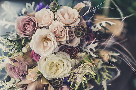assorted-color roses thumbnail