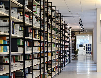 Stack of Books in Shelf thumbnail